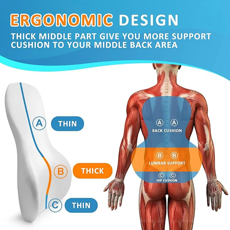 Lumbar Support Pillow for Offi - Home Improvement Cars review and price